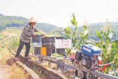 人水稻插秧、收成设备功课结果优于人工；此外